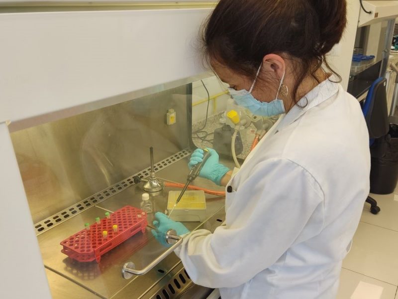 Mariana-SARS Para el desarrollo de estos ejercicios, ielab prepara y envía muestras a los laboratorios para que las ensayen